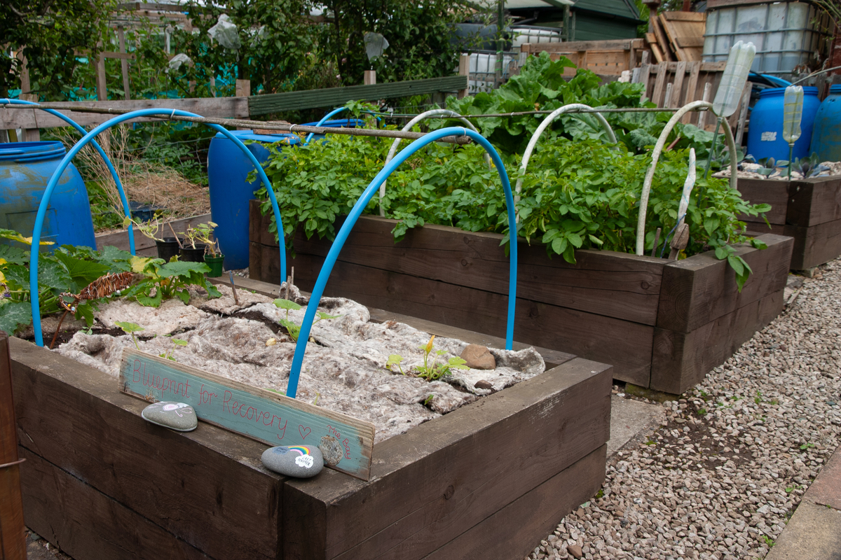 Bay Blueprint Allotment